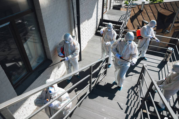 Best Biohazard Mold Removal  in Patterson, CA