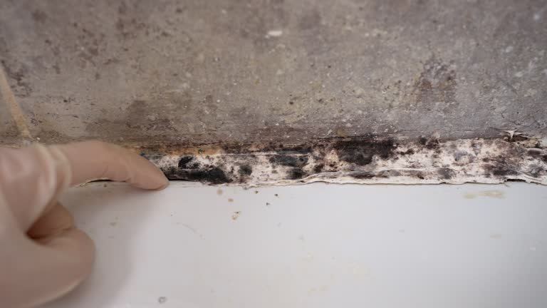 Best Residential Mold Inspection & Testing  in Patterson, CA
